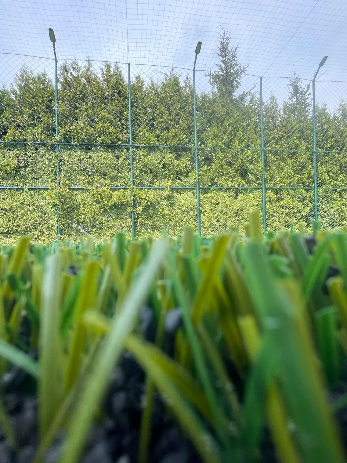 Detaliu de gazon artificial sportiv cu linie albă de marcaj, pe o bază sportivă cu împrejmuire